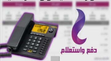 الحق نفسك قبل سحب الخط.. استعلام عن فاتورة التليفون الأرضي ودفعها أون لاين