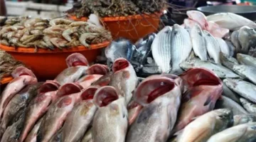 أسعار الأسماك اليوم الإثنين 5 مايو 2025