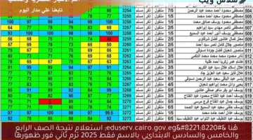 هُنا “eduserv.cairo.gov.eg” استعلام نتيجة الصف الرابع والخامس والسادس الابتدائي بالاسم فقط 2025 ترم ثاني فور ظهورها