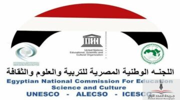 أيمن عاشور.. الذكاء الاصطناعي أصبح عنصرًا فاعلًا في التعليم العالي