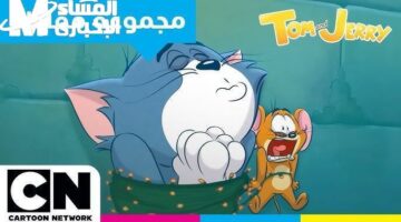 مغامرات القط والفأر شغّالة.. تردد قناة CN Arabic 2025 الجديد متعة فريدة