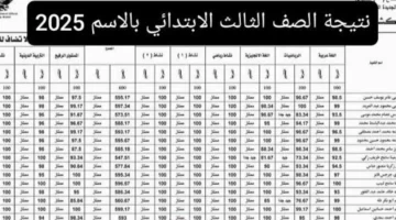 نتيجة الصف الثالث الابتدائي 2025 الترم الثاني برقم الجلوس وبالاسم عبر بوابة التعليم الاساسي محافظة القاهرة