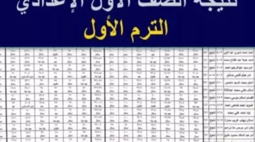 اولى إعدادي.. رابط نتيجة الصف الأول الإعدادي 2025 بالاسم فقط عبر بوابة التعليم الأساسي برقم الجلوس او بالرقم القومي