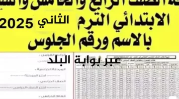 نتيجة الصف الرابع والخامس والسادس الابتدائي الترم الثاني 2025 عبر بوابة التعليم الأساسي برقم الجلوس او بالرقم القومي