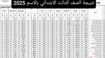 نتيجه الصف الثالث الابتدائي الترم الثاني 2025 برقم الجلوس والاسم عبر بوابة التعليم الاساسي eduserv.cairo.gov.eg
