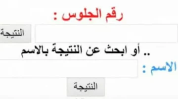 بوابة التعليم الأساسي.. نتيجة الصف الثالث والرابع والخامس والسادس الابتدائي الترم الثاني 2025 برقم الجلوس والاسم
