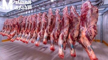 اشتري قبل العيد..أسعار اللحوم الحمراء اليوم السبت 3/5/2025