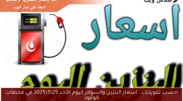 احسب تفويلتك.. اسعار البنزين والسولار اليوم الأحد 2552025 في محطات الوقود