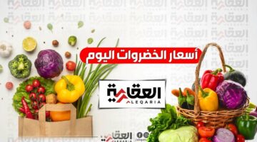 أسعار الخضروات في مصر اليوم السبت 17 مايو 2025