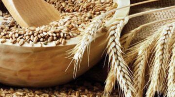 أسعار الأعلاف والخامات المستوردة والمحلية اليوم الإثنين 12-5-2025