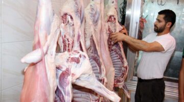 أسعار اللحوم الحمراء البلدية والمستوردة والأضاحي خلال تعاملات اليوم الإثنين 5-5-2025