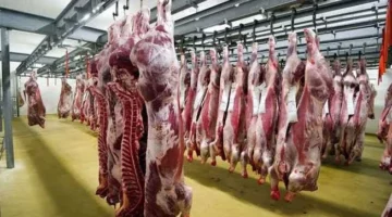 أسعار اللحوم الحمراء والماشية اليوم الجمعة 9-5-2025