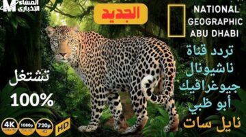 القناة فتحت على الطبيعة.. تردد ناشيونال جيوغرافيك الجديد سفر بصري