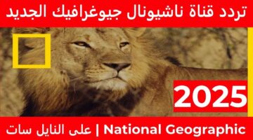 خطوات تثبيت تردد قناة ناشيونال جيوغرافيك الجديد على نايل وعرب سات 2025