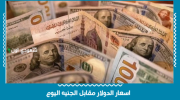 اخبار عاجلة اسعار الدولار مقابل الجنيه اليوم السبت ارتفاع طفيف في بعض البنوك الكبرى
