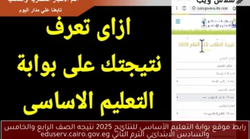 رابط موقع بوابة التعليم الأساسي للنتائج 2025 نتيجه الصف الرابع والخامس والسادس الابتدائي الترم الثاني eduserv.cairo.gov.eg
