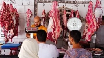 الخروف بـ 12 ألف جنيه والعجل بـ 80.. ارتفاع جنونى في أسعار الأضاحي والمواطنون يعزفون عن الشراء