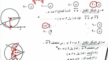 بالاجابات.. امتحان الهندسة لـ الصف الثالث الاعدادي ترم ثاني محافظة الشرقية