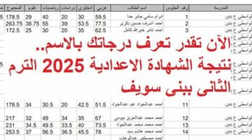 الآن تقدر تعرف درجاتك بالاسم.. نتيجة الشهادة الاعدادية 2025 ببني سويف
