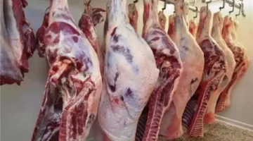 أسعار اللحوم الحمراء اليوم الأحد 15 يونيو 2025