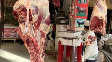 أسعار اللحوم اليوم الثلاثاء ٣ يونيو ٢٠٢٥