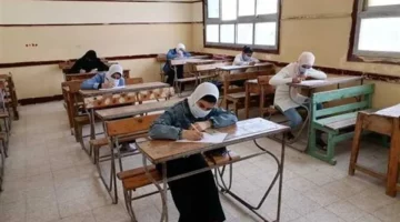 نتائج الصف الأول الإعدادي لعام 2025 برقم الجلوس والاسم