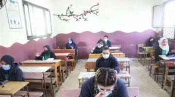 الآن.. نتيجة الصف الثاني الإعدادي 2025 متوفرة برقم الجلوس من خلال بوابة التعليم الأساسي