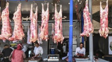 أسعار اللحوم اليوم الأربعاء ١١ يونيو ٢٠٢٥ بمحلات الجزارة
