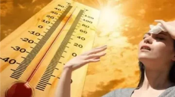 حالة الطقس غدًا السبت 14 يونيو 2025.. الأرصاد تحذر من موجة شديدة الحرارة ورياح مثيرة للرمال