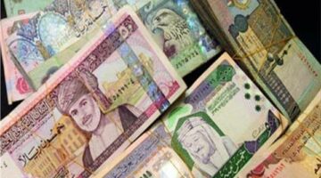 أسعار العملات العربية اليوم الثلاثاء 17-6-2025