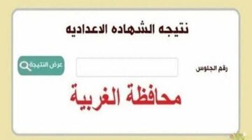 ظهرت الآن.. اعتماد نتيجة الشهادة الإعدادية محافظة الغربية بالاسم بنسبة نجاح 76.8%.. رابط وخطوات الاستعلام