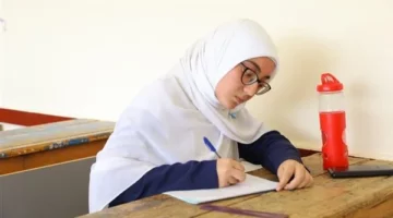 خيارات مدارس التمريض، الزراعة، التجارة، والصناعة