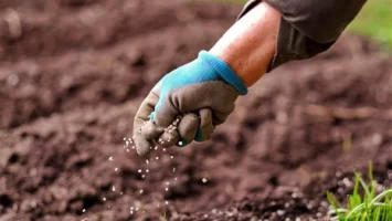 طن السلفات يرتفع 3676 جنيها، أسعار الأسمدة اليوم في الأسواق