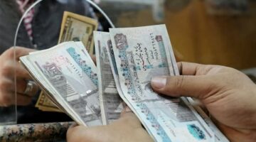الحكومة تبدأ رسميًا تنفيذ رفع سن المعاش وتشمل كل الفئات دون استثناء – هل يشمل السيدات؟