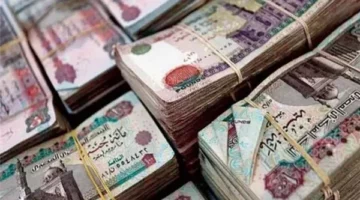 معاش شهري لربات البيوت في مصر 2025.. تعرف على المبلغ المستحق