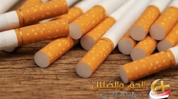 أسعار السجائر في مصر اليوم… نتعرف على قائمة الأسعار بشكل تفصيلي الجمعة 27 يونيو 2025