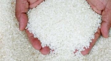 بكم طن الأرز؟.. أسعار الأرز الأبيض والشعير في الأسواق اليوم