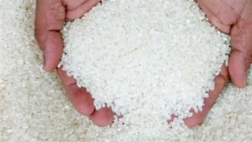 بكم طن الأرز؟.. أسعار الأرز الأبيض والشعير في الأسواق اليوم