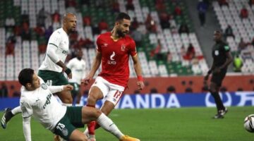كاس العالم للأندية …موعد مباراة بالميراس أمام بوتافوجو