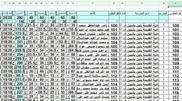 ظهرت الآن نتيجة الشهادة الاعدادية بالمنوفية الدور الأول بصيغة إكسل