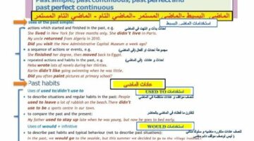 الثانوية العامة 2025.. كراسة مفاهيم اللغة الانجليزية مترجمة حمل الآن بصيغة بي دي إف