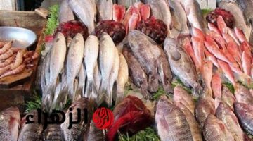 أسعار الأسماك اليوم الأحد 29 يونيو 2025