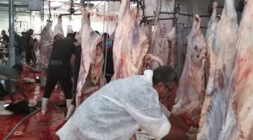 أسعار اللحوم فى الأسواق اليوم الاثنين 30 يونيو 2025