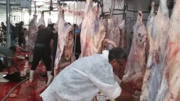 أسعار اللحوم فى الأسواق اليوم الاثنين 30 يونيو 2025