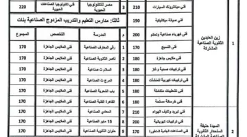 تنظيم مدارس التعليم الفني لعام 2025 في القاهرة