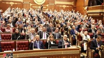 عضو بالشيوخ تتساءل عن دور وزارة التعليم فى مواجهة التنمر والعنف بالمدارس