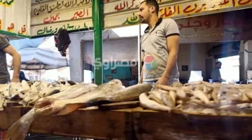 أسعار الأسماك في سوق العبور اليوم 24-6-2025
