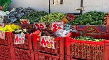 أسعار الخضراوات اليوم الاثنين 30 يونيو 2025.. الطماطم والبطاطس بـ7 جنيهات