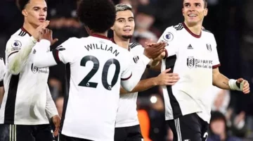 تيتي يفاضل بين البقاء في فولهام أو الانتقال إلى إيفرتون
