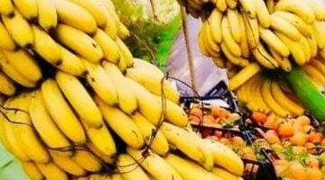 أسعار الفاكهة بأسواق محافظة مطروح اليوم الإثنين 9-6-2025.. الموز بـ35 جنيها